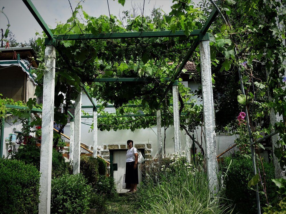 Стопанката на дома