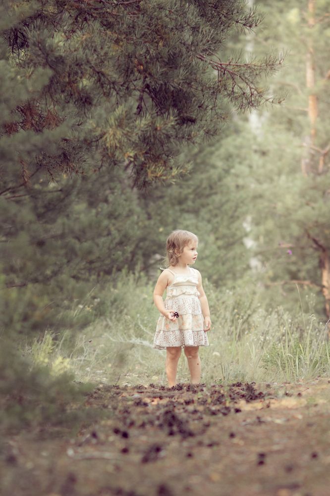 Прогулка за шишками