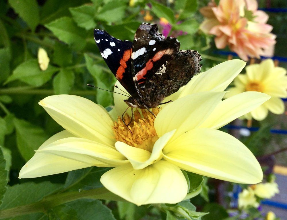 Photograph by Татьяна Белгарокова