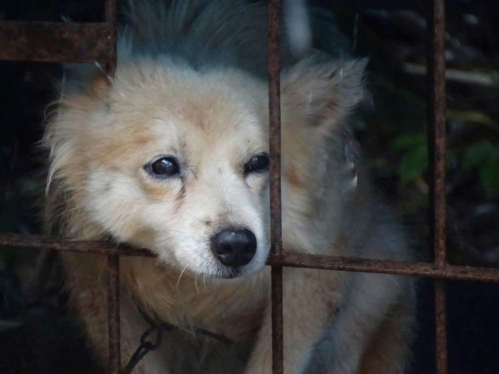 His eyes spoke to me