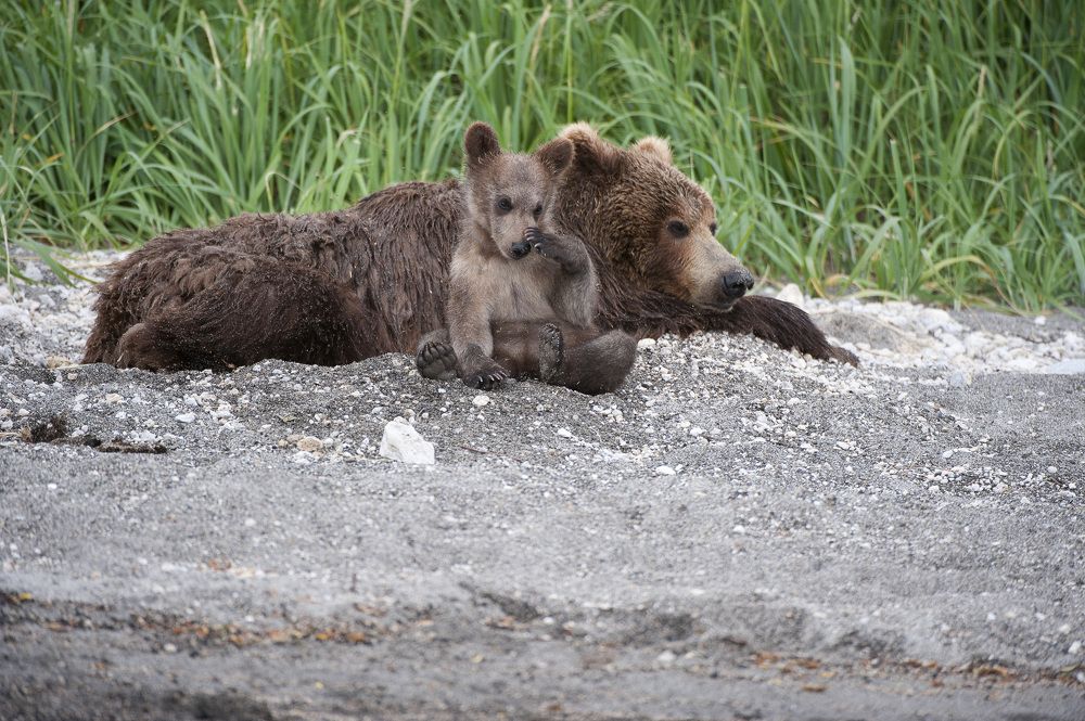 Photograph by Геннадий Тикка