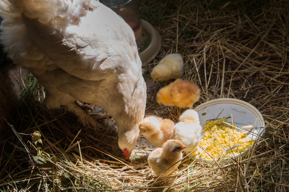 Photograph by Valery Vinnitsky