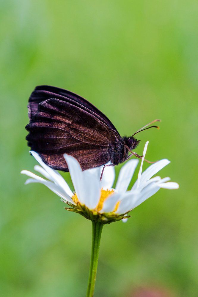 Photograph by Evgenii Pyatkov