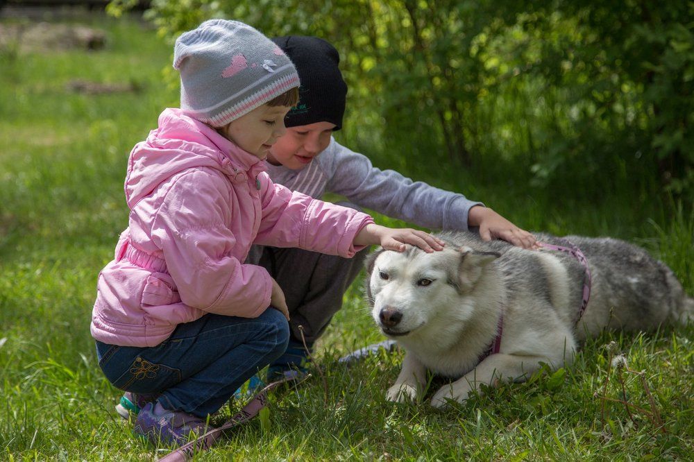 Photograph by Valery Vinnitsky