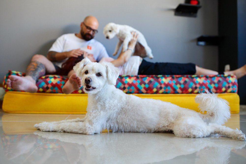 Фотография автора Iuliia Timofeeva