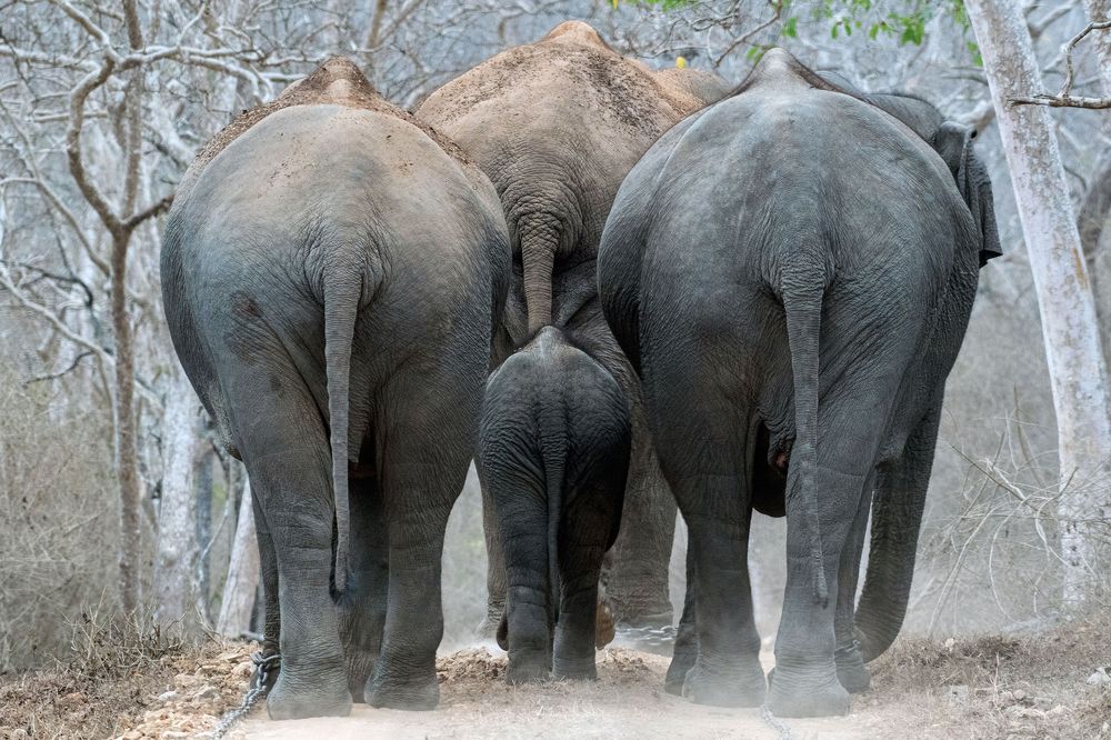 Hope for a return to life