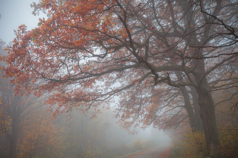 Photograph by Nadia Marchenko