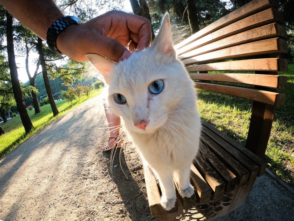 Photograph by Александр Яновский