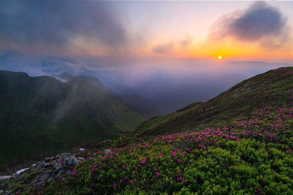 Налетела туча