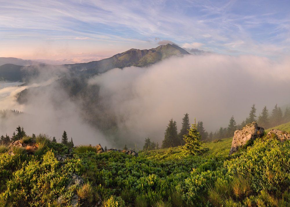 Белая мгла наступает