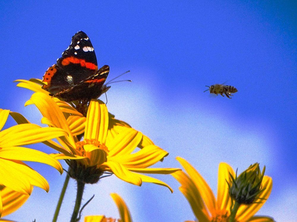 Столкновения не будет...
