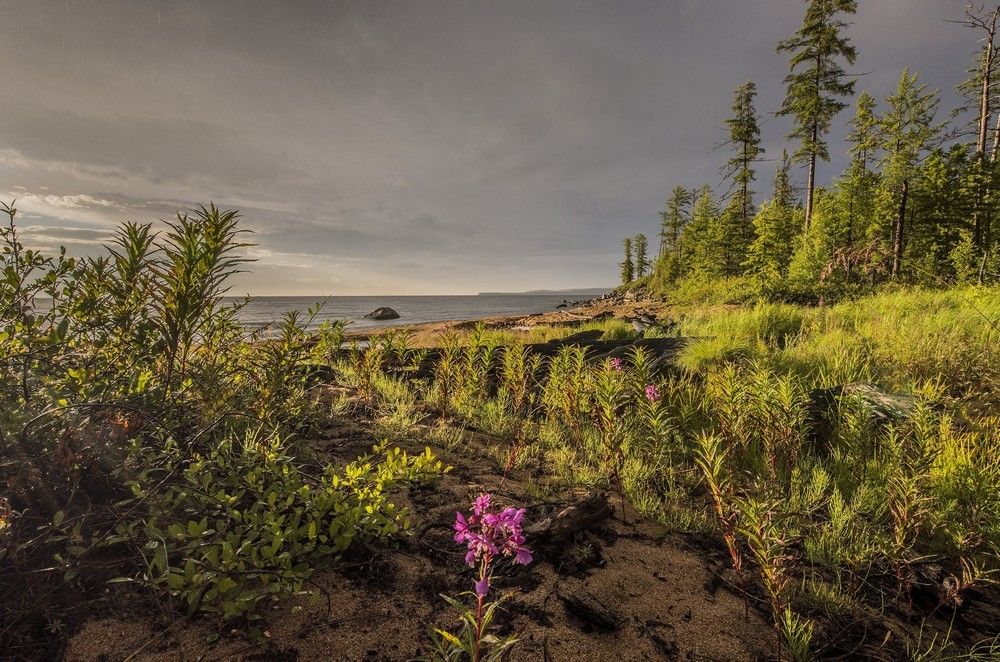 Слепой дождь