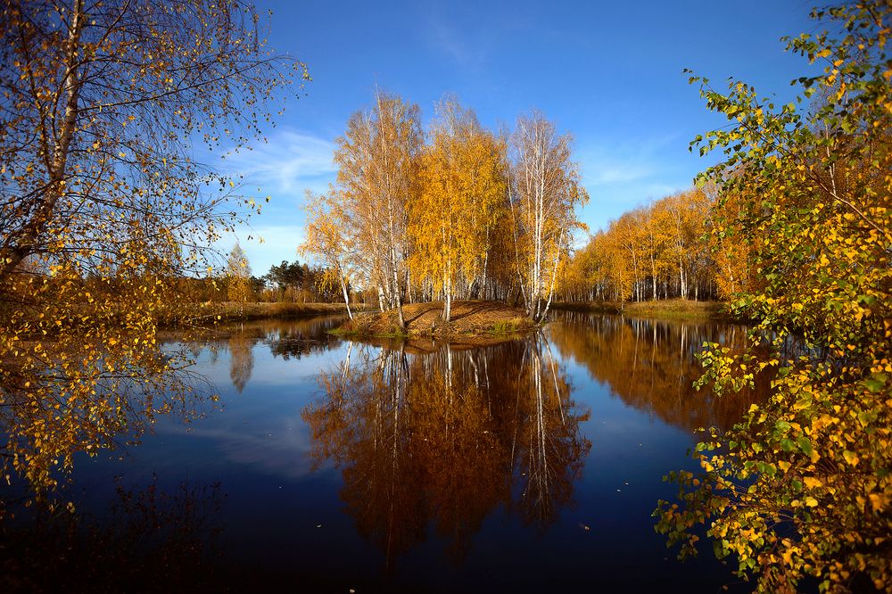 Золото осени