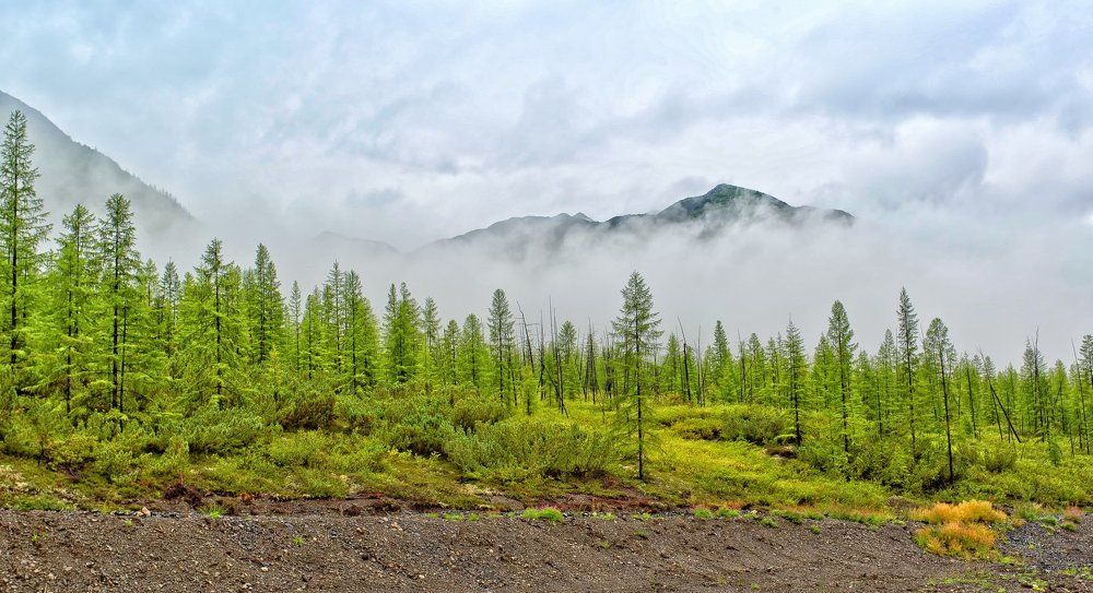 Утренний туман.