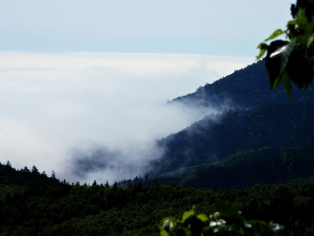 Photograph by ЕКАТЕРИНА БРАГИНА