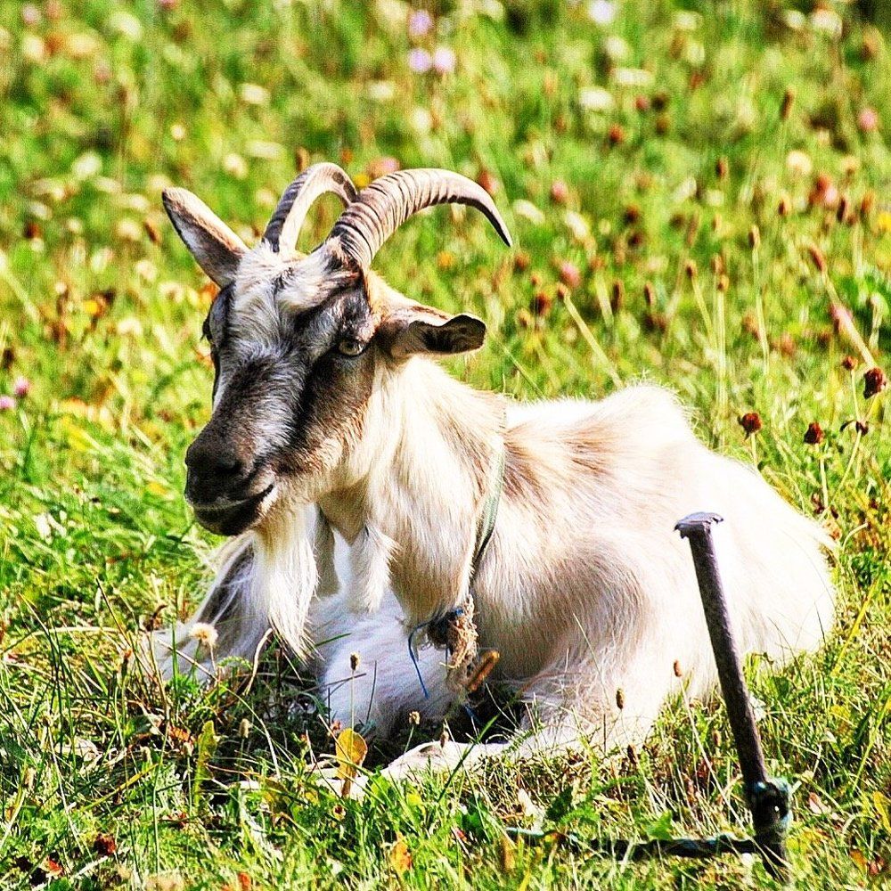 Поел - отдохни!