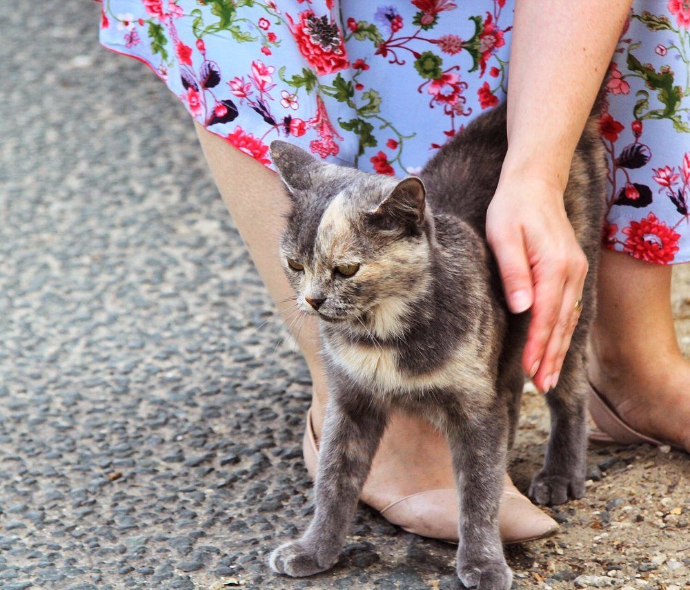 Под защитой