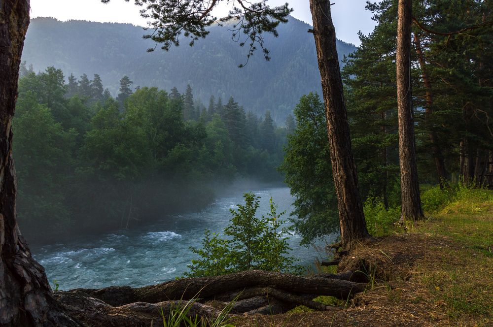 На рассвете у реки