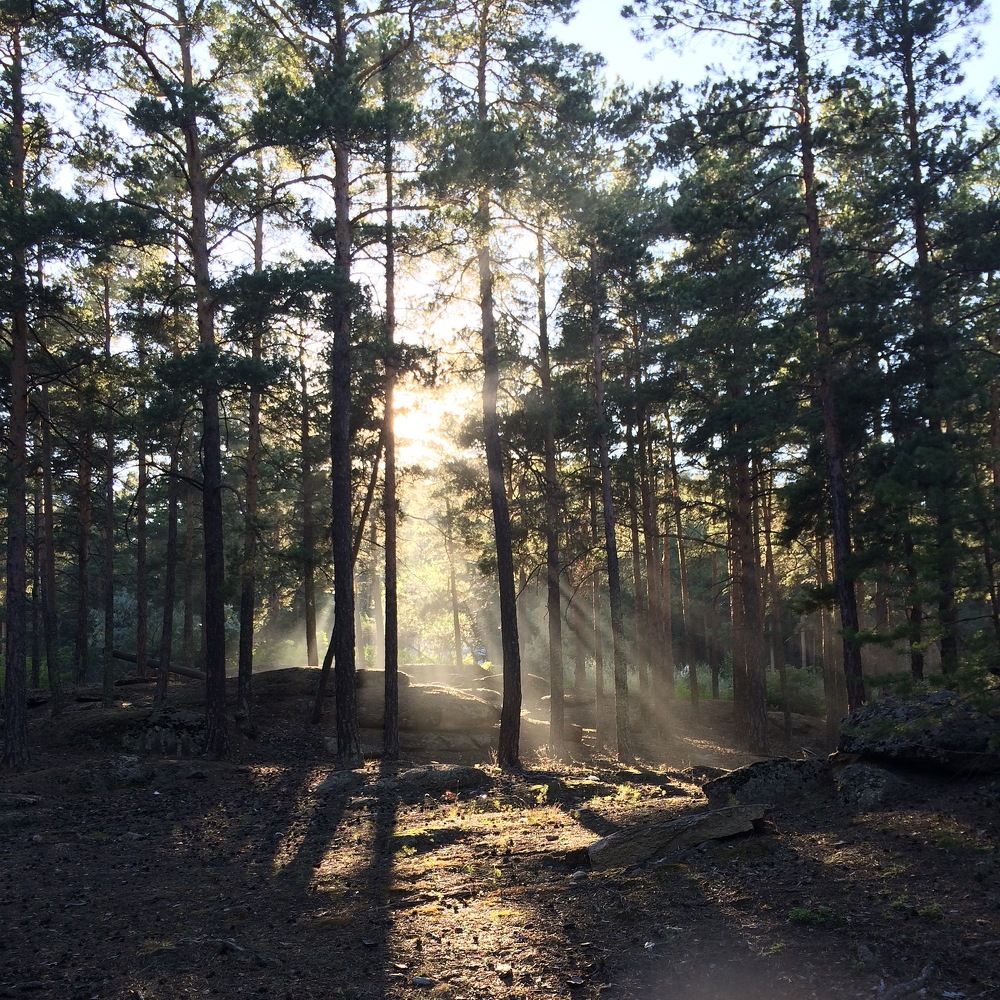 Photograph by Меруерт