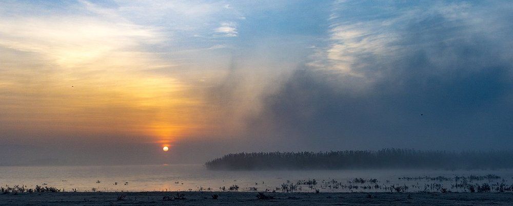 Утро на озере. Туман.