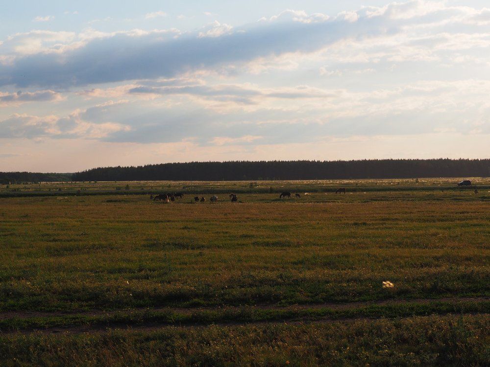 Photograph by Алексей Вахтин