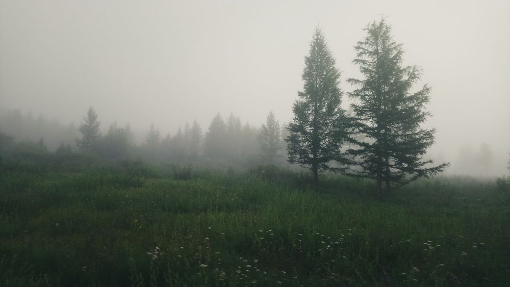 На рассвете