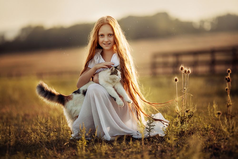 Солнечные котики