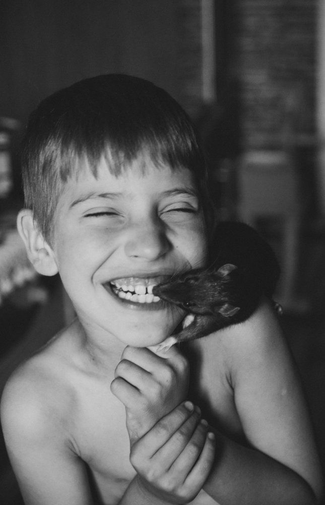 Любофф и крысы