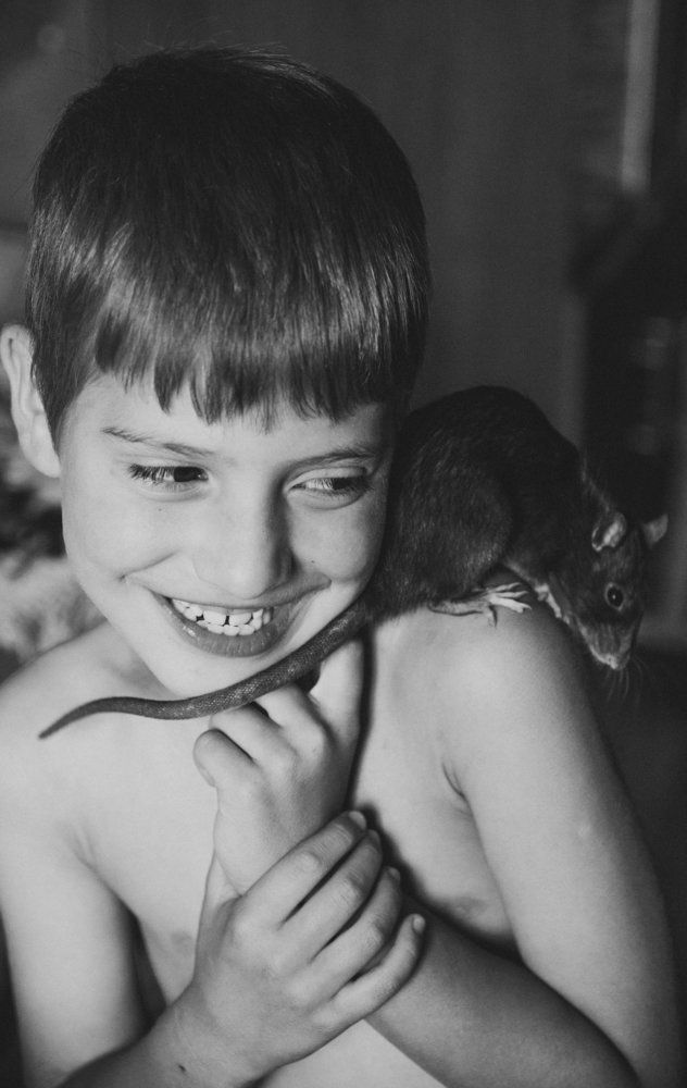 Домашний зверек