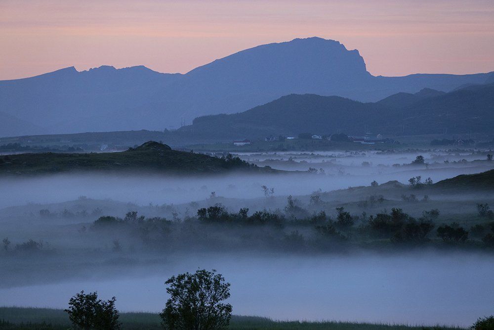 Lofoten fog