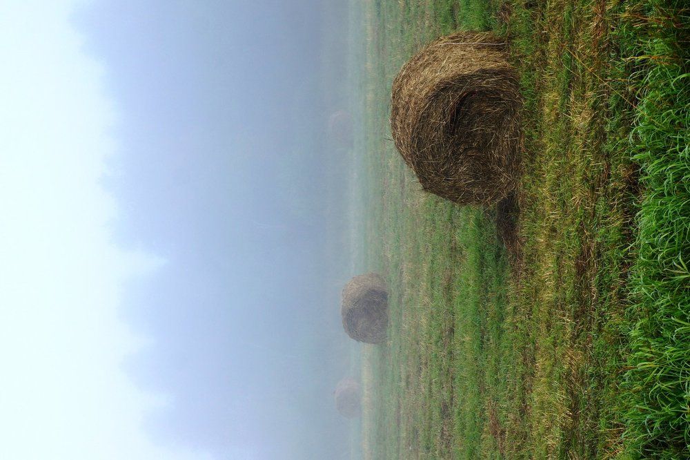 Утро в сентябре...