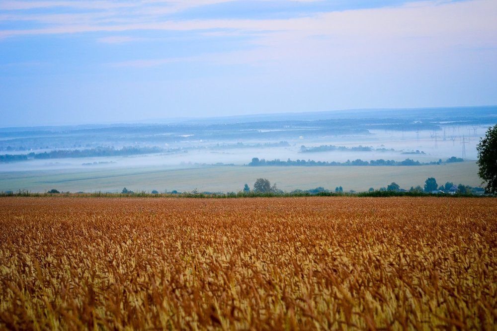 Photograph by Ульяна Александрова