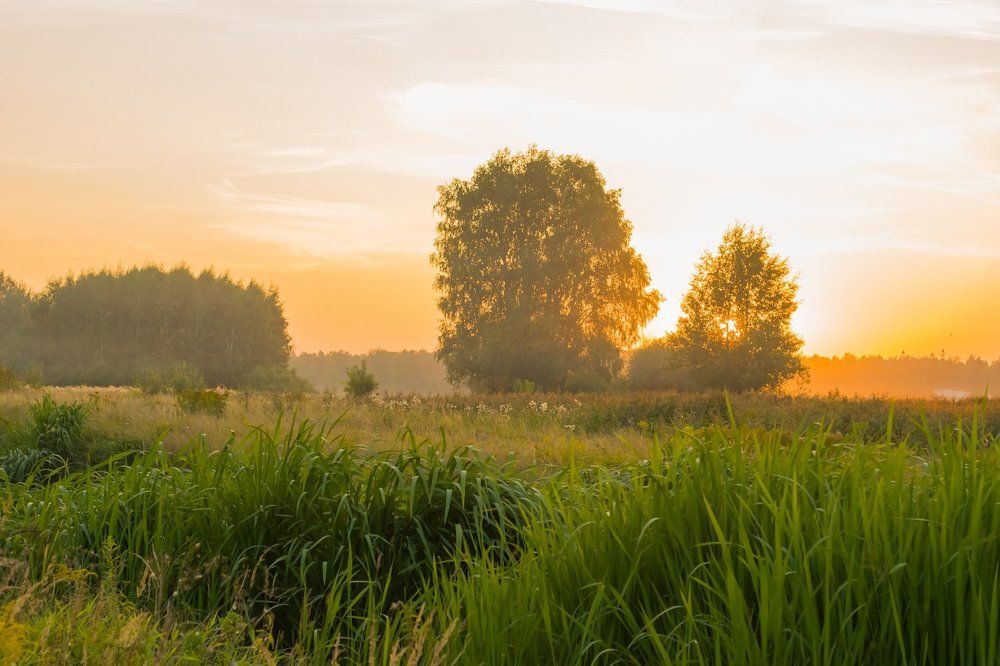 туманный вечер