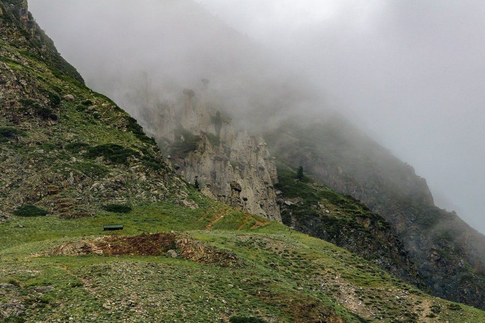 Каменные грибы.