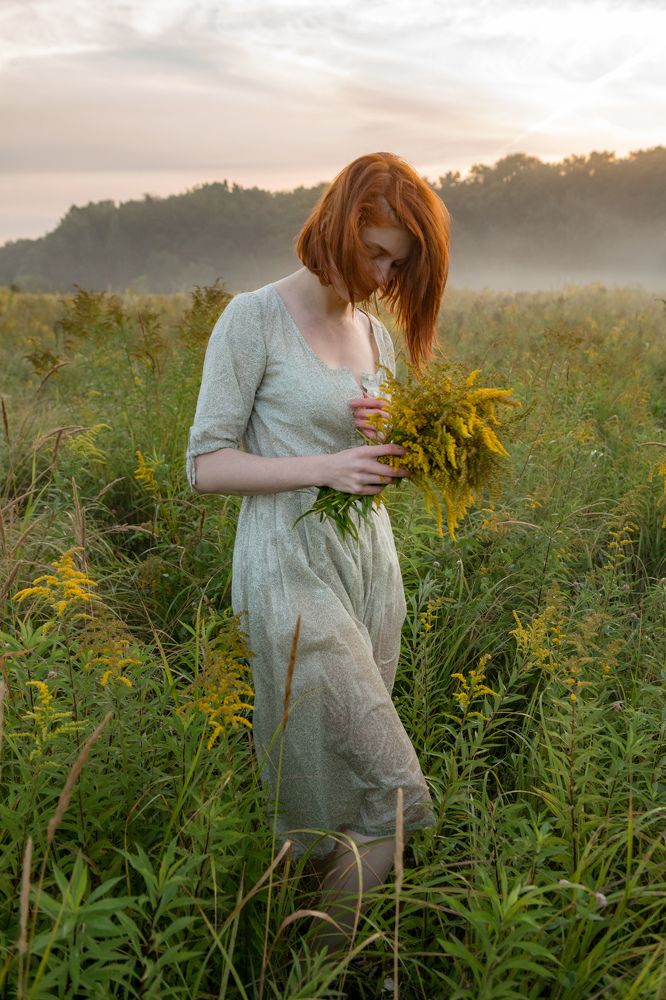 утро с туманом