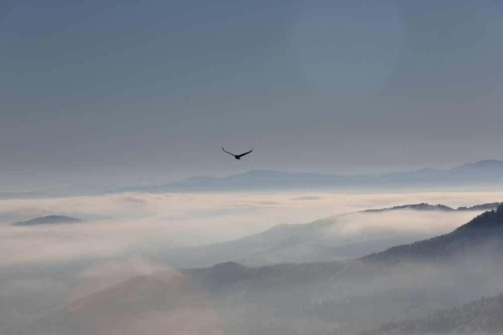 Туман на Семинском перевале