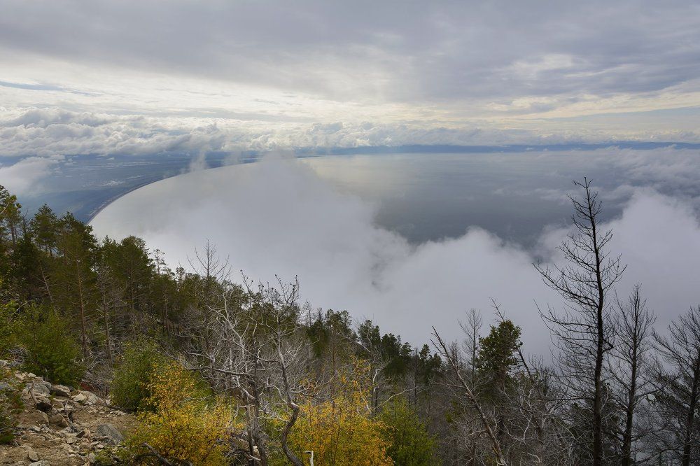Туманное утро