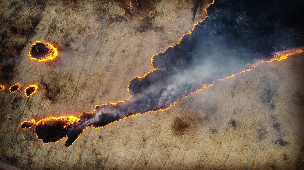 Photograph by Илья