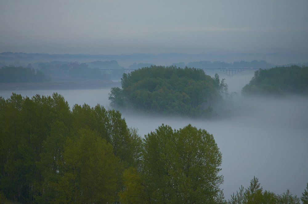 Туман - это всегда загадка