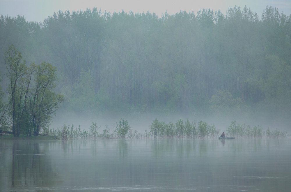 Туман - это всегда загадка