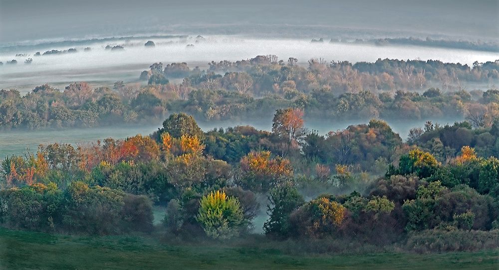 УТРО НА ДОНУ