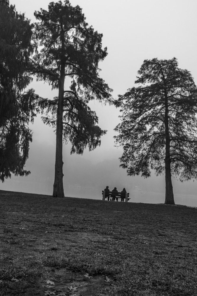 Three people & three tree