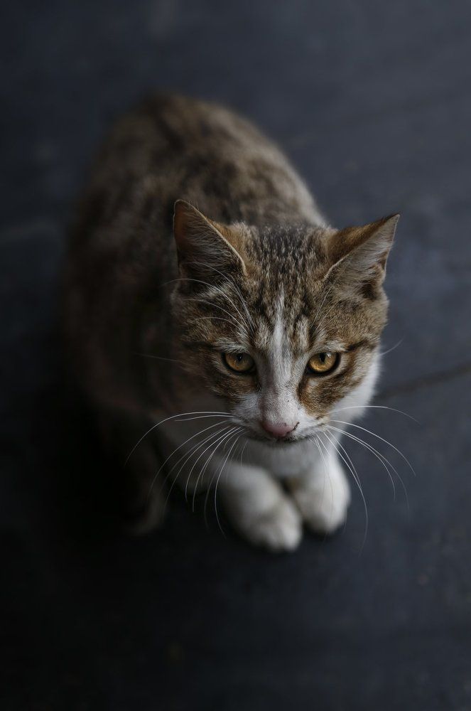 Photograph by Farshad Farzan