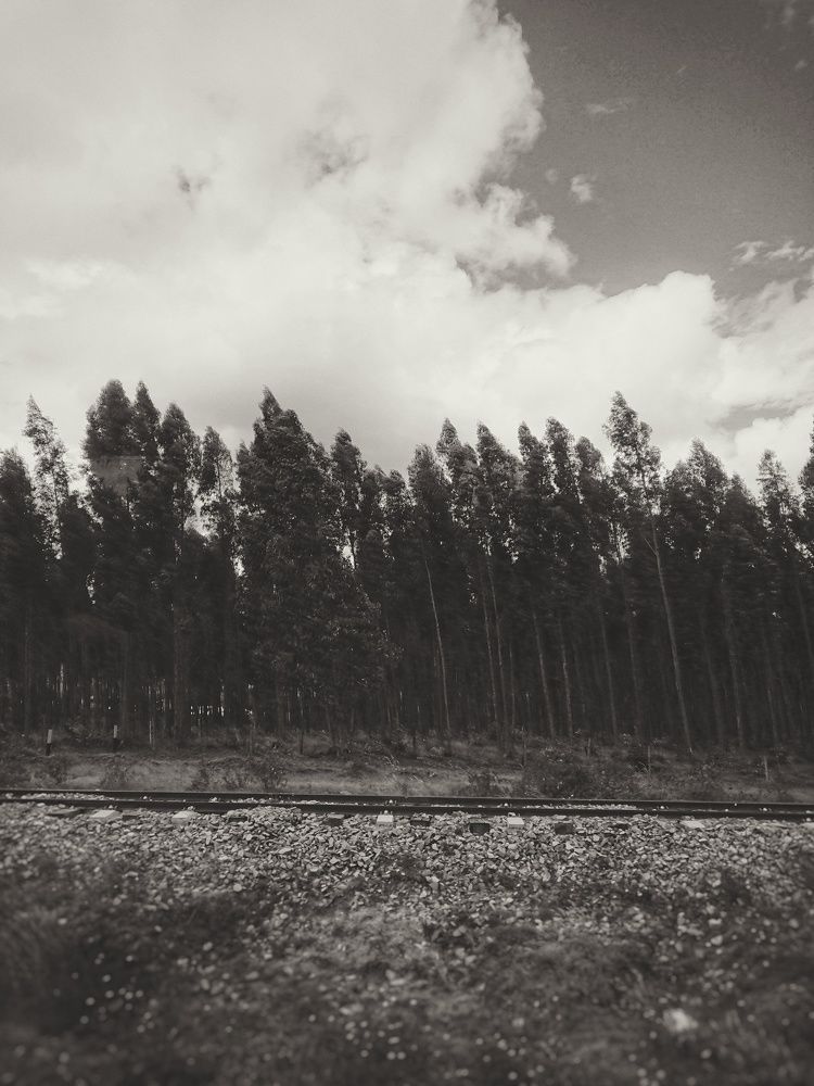 Naturalez retro