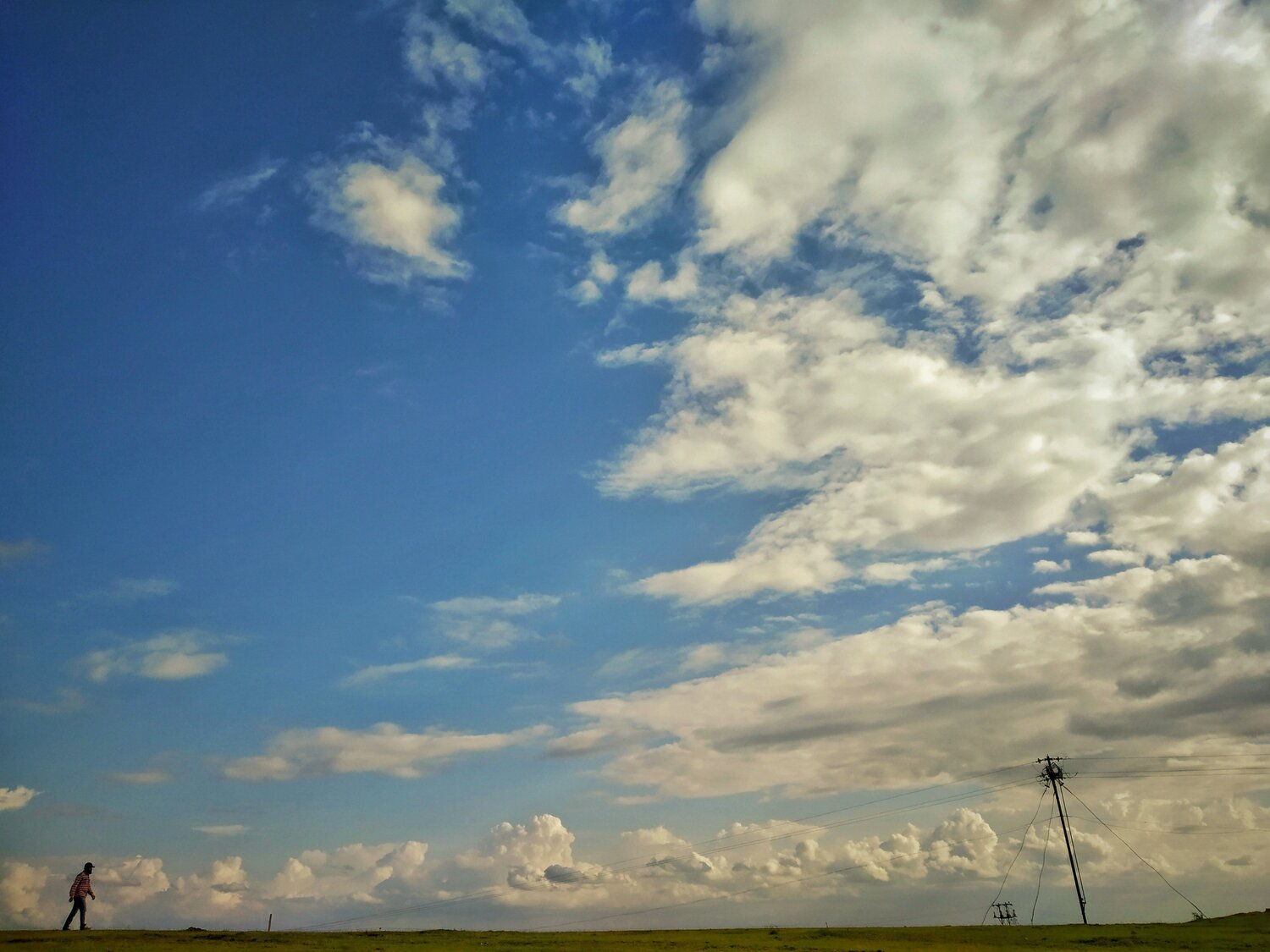 Man and a landscape