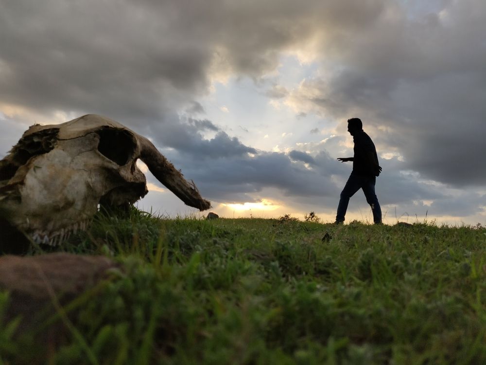 Man and a landscape