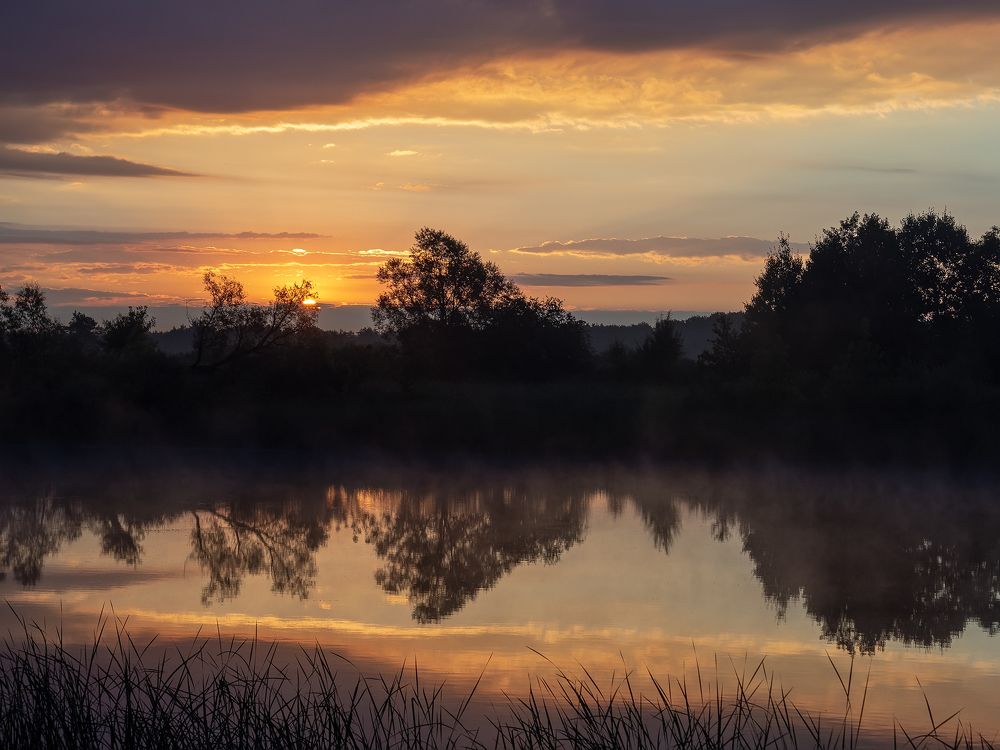 После дождя