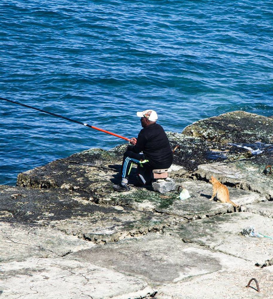 waiting for the catch