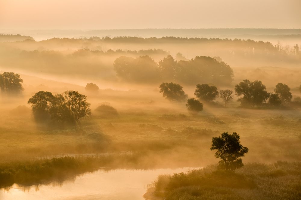 В золотых лучах