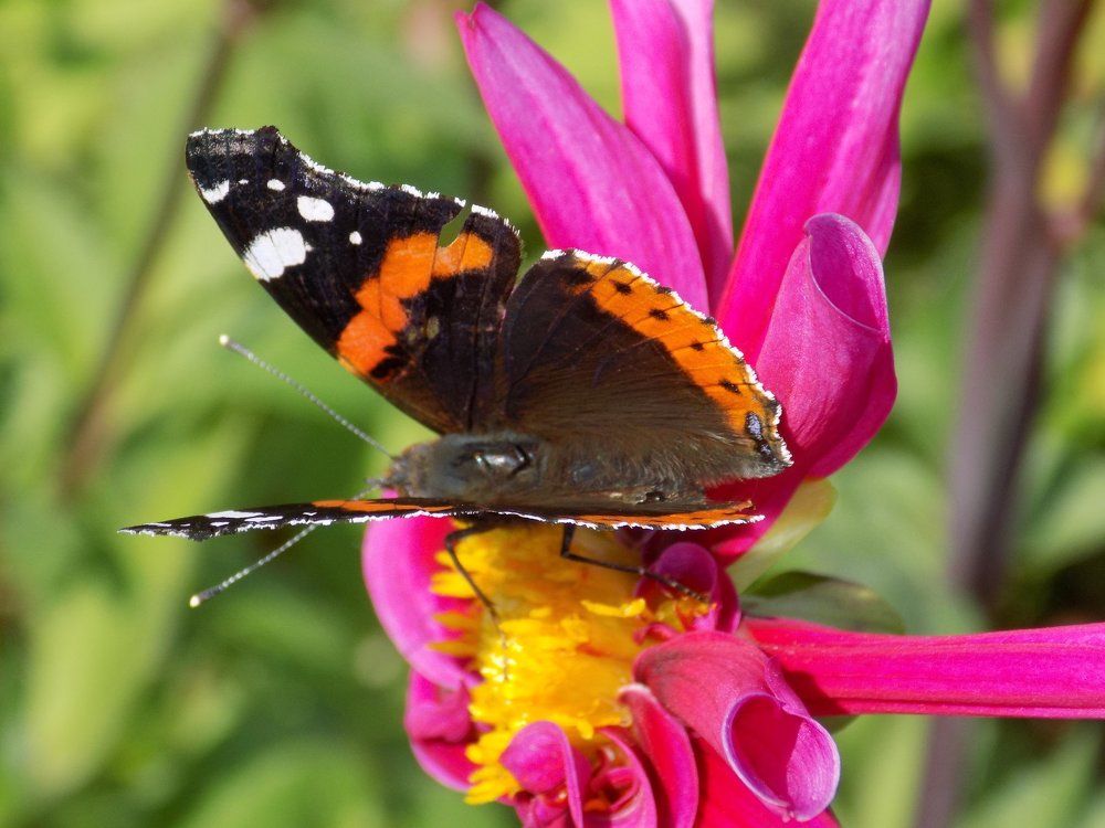 Photograph by Валентина Смирнова